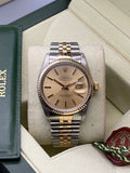DateJust 36mm | Champagne Stick Dial - Gla Jeweller